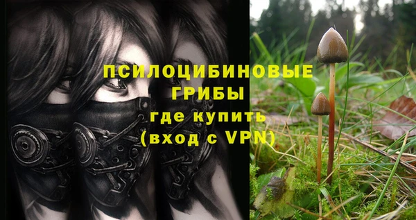 прущие крисы Костерёво