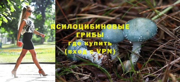 скорость Корсаков