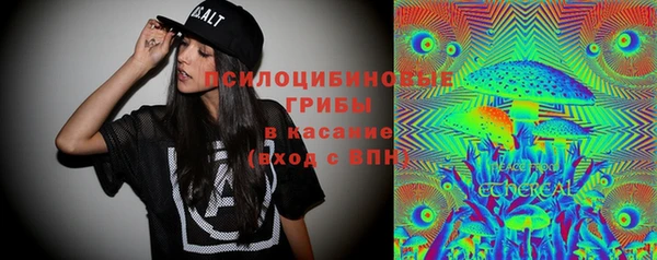 прущие крисы Костерёво
